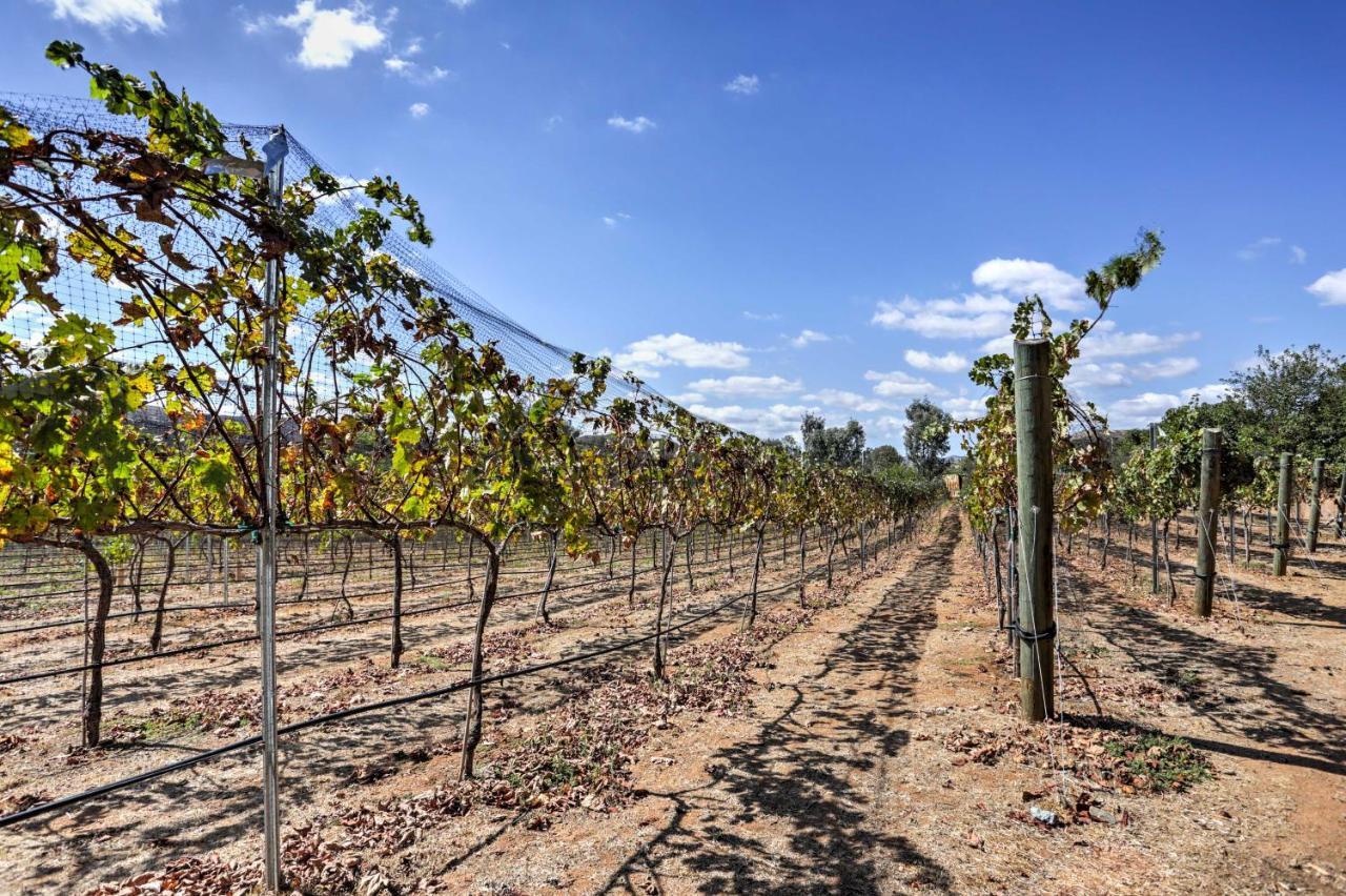 Вилла Escondido Vineyard Estate Walk To Wineries! Экстерьер фото